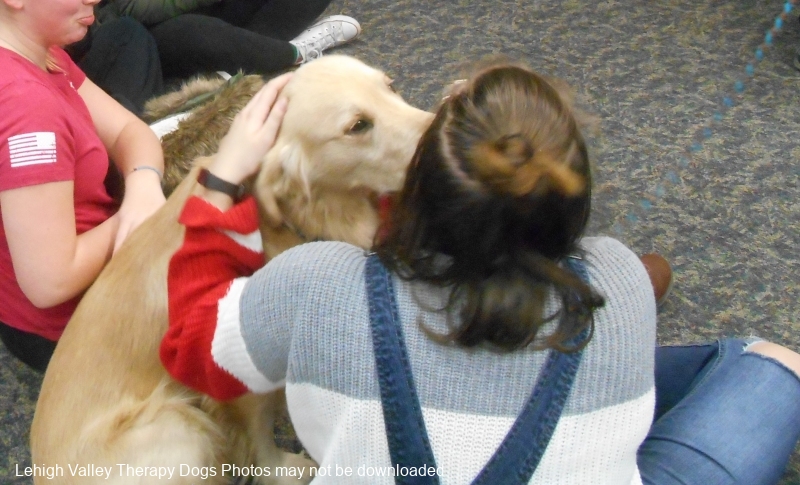 Registration Lehigh Valley Therapy Dogs