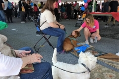 Community Events