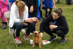 2019.Out_.Darkness.Walk_.FRANCIS