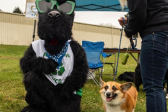 2019.Out_.Darkness.Walk_.KETCHUP