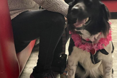 2024.Night-to-shine.ELLIE_