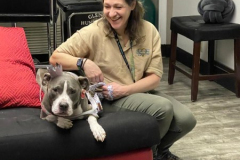 2024.Night-to-shine.VIOLET