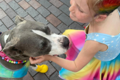 2025.8.PRIDEfestival.VIOLET