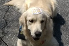 NIK-takes-a-break-at-CopsnKids.2018