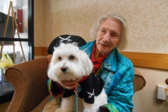 2015.DevonHouse.Mr_.Peabody