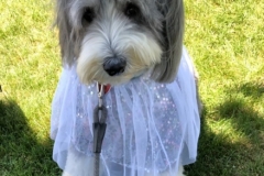 2019.DevonHouse.PromDay.EMMA-ROSE