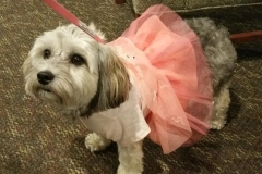 2019.DevonHouse.PromDay.JOEY_