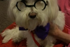 2019.DevonHouse.PromDay.MR-PEABODY