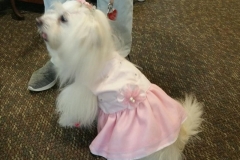 2019.DevonHouse.PromDay.POGO_