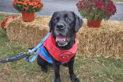 2024.10.7.Devon-House.BARKLEY