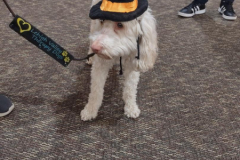 2024.10.7.Devon-House.BISCUIT