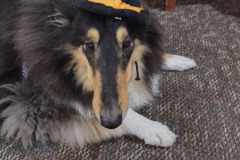 2024.10.7.Devon-House.MICKEY