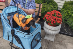 2024.10.7.Devon-House.NORI_