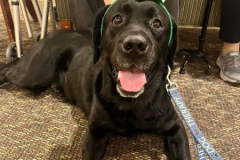 3.6.23-Devon-House.-BARKLEY