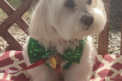 3.6.23-Devon-House.-MR-PEABODY