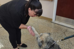 2023.PhoebeSrHealthDay.CLARA