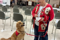 2023.PhoebeSrHealthDay.SAOIRSE