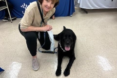 2024.Phoebe.HealthExpo.BARKLEY