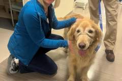 2023.7.19.LVHN_.HotDogDay.RILEY