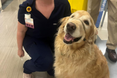 2023.7.19.LVHN_.HotDogDay.RILEY