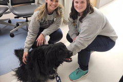 2024.4.10.LVHN_.PediatricNurses.ANNABELLE