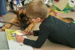 School, Libraries and Reading to Dogs