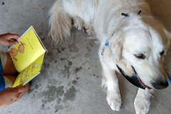 2021.ReadtotheDogs.BlueberryFestival.BurnsidePlantation.NIK_