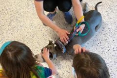 2023.4.23.NeidigElem.VIOLET