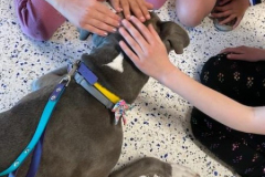 2023.4.23.NeidigElem.VIOLET