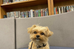 2024.CentennialSch.ALLIE_