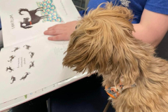 2024.CentennialSch.KATE_