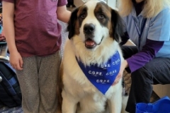 2023.3.LVIA_COPE.ABBEY_