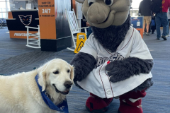 2024.10.17.LVIACope.NIK_.FerrousIronPigsMascot