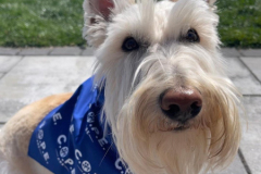 2024.5.LVIACope.MONTY_