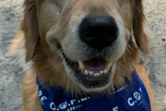 2024.9.LVIACope.ARTHUR