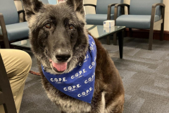 2025.7.LVIA-Cope.ZORA