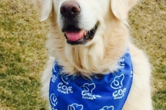 C.O.P.E.2016.Clipper