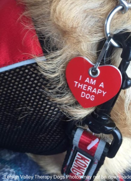 I-Am-A-Therapy-Dog