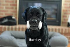 BARKLEY.2023