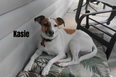 KASIE.2023.CR