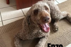 ENZO.2024.TdeC