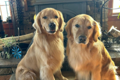 MURPHYandANNIE.2024.BH