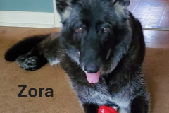 ZORA.2024.JM