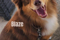 BLAZE.2025.KH