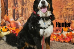 HUNTER.2025.JDiF