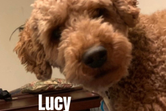 LUCY.2025.PL