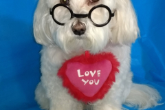 MR PEABODY.2025.AR