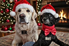 NIK and NORI_.K.AH