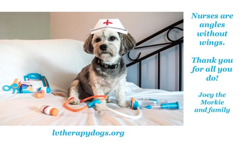 What are Therapy Dogs Lehigh Valley Therapy Dogs