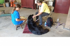 2021.ReadtotheDogs.BlueberryFestival.Burnside.LILLY_